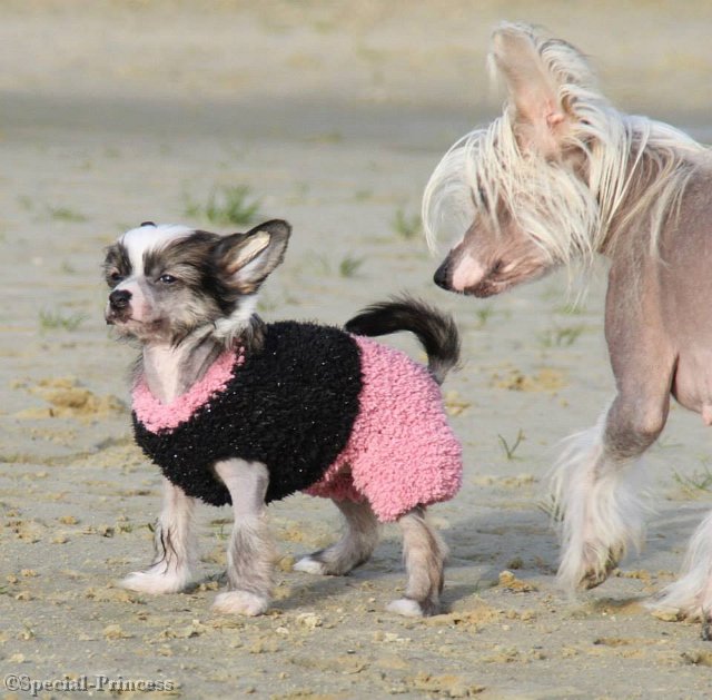 Glacee samen met haar moeder Belle